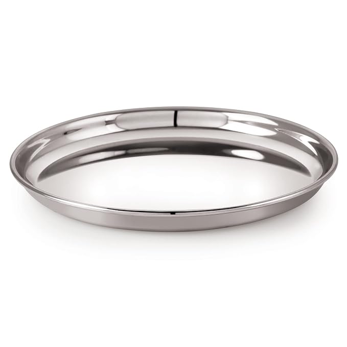 Stainless Steel Dinner Plates